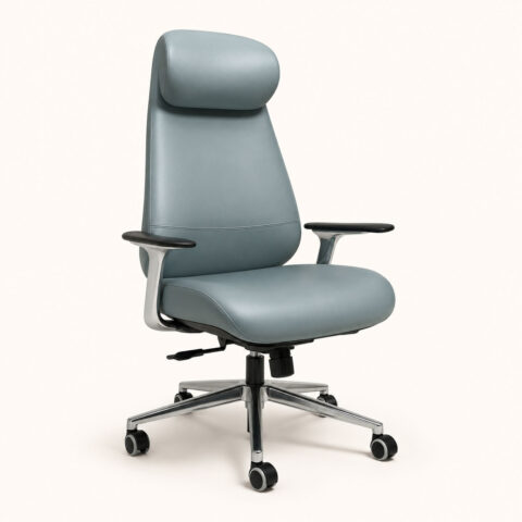 Aeris Luxe Executive Ergonomic Chair