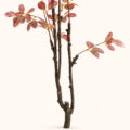 Rosé Aurelia Luxe Artificial Tree