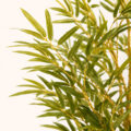 VerdéBamboo Luxe Artificial Indoor Tree