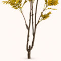 Verdelune Luxe Artificial Indoor Tree