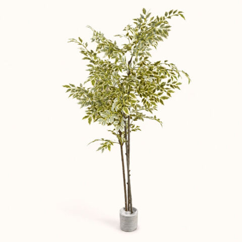 Verdeluxe Variegata Premium Artificial Indoor Tree