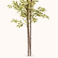 Verdeluxe Variegata Premium Artificial Indoor Tree