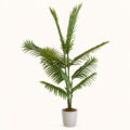 Verdora Palm Luxe Artificial Indoor Tree