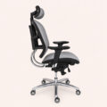 AeroFlex Executive Ergonomic Swivel Chair