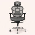 AeroFlex Executive Ergonomic Swivel Chair