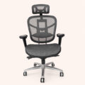 AeroFlex Executive Ergonomic Swivel Chair