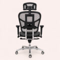 AeroFlex Executive Ergonomic Swivel Chair