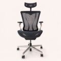 AeroCurve Elite Ergonomic Swivel Chair