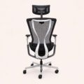 AeroCurve Elite Ergonomic Swivel Chair