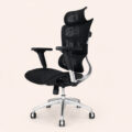AeroMesh Executive Ergonomic Swivel Chair