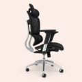 AeroMesh Executive Ergonomic Swivel Chair