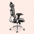 AeroMesh Executive Ergonomic Swivel Chair