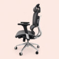 AeroMesh Executive Ergonomic Swivel Chair