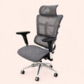 AeroMesh Executive Ergonomic Swivel Chair