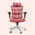 AeroMesh Executive Ergonomic Swivel Chair