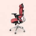 AeroMesh Executive Ergonomic Swivel Chair