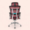 AeroMesh Executive Ergonomic Swivel Chair