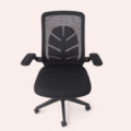 AeroLeaf Comfort Ergonomic Swivel Chair