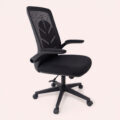 AeroLeaf Comfort Ergonomic Swivel Chair