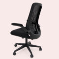 AeroLeaf Comfort Ergonomic Swivel Chair